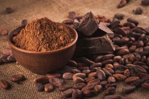cacao4.jpg
